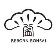 REBORN BONSAI